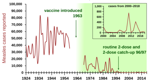US Measles Tally Reaches 4,080 in Latest CDC Update