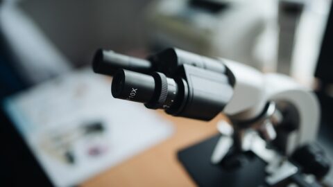 Nitrogenase Off Switch Reveals New Layer of Enzyme Control
